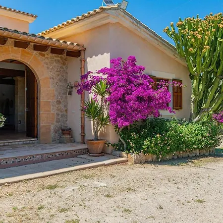 Pallicer Villa *